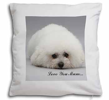 Bichon Frise Dog 