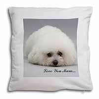 Bichon Frise Dog 