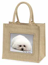 Bichon Frise Dog 