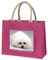 Bichon Frise Dog 