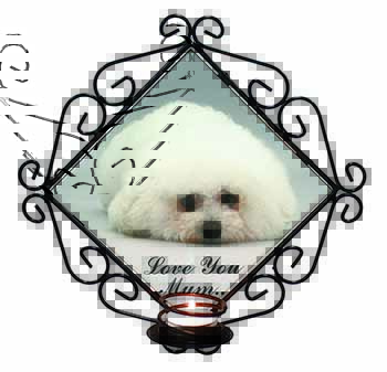 Bichon Frise Dog 