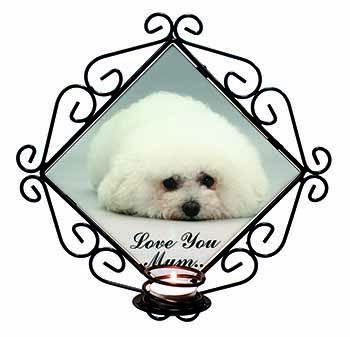 Bichon Frise Dog 