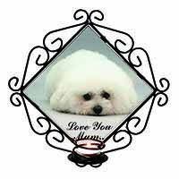 Bichon Frise Dog 