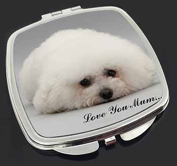 Bichon Frise Dog 