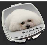 Bichon Frise Dog 