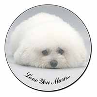 Bichon Frise Dog 