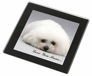 Bichon Frise Dog 