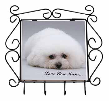 Bichon Frise Dog 