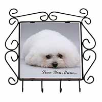 Bichon Frise Dog 