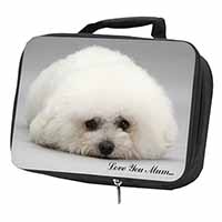 Bichon Frise Dog 