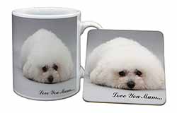 Bichon Frise Dog 