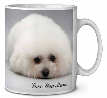 Bichon Frise Dog 