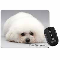 Bichon Frise Dog 