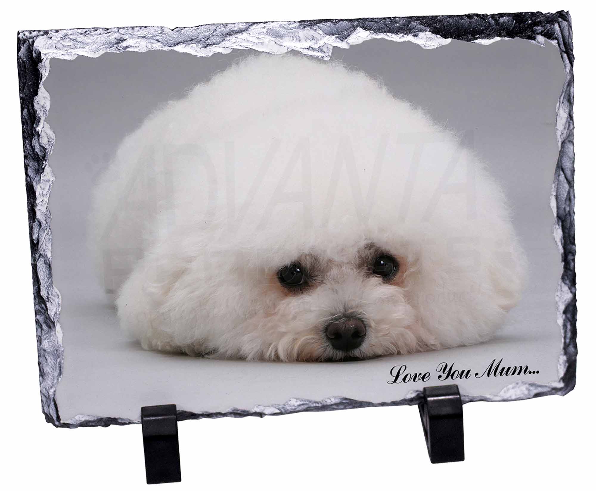 MUM-D2SL Bichon Frise Dog /'Love You Mum/' Photo Slate Christmas Gift Ornament