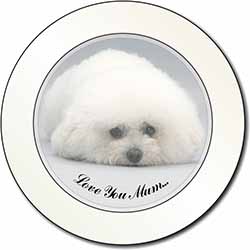 Bichon Frise Dog 