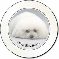 Bichon Frise Dog 