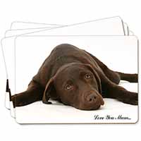 Labrador Dog 