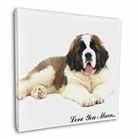 Saint Bernard 