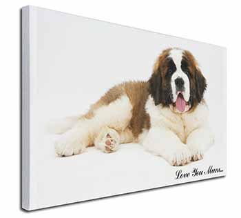 Saint Bernard 