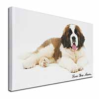 Saint Bernard 