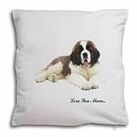 Saint Bernard 