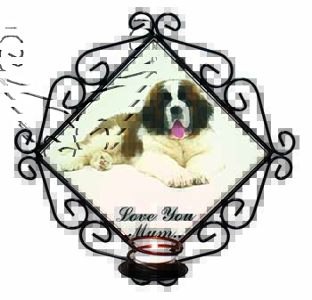 Saint Bernard 