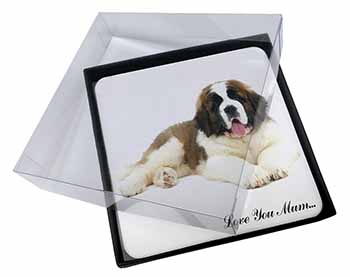 4x Saint Bernard 