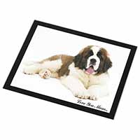 Saint Bernard 