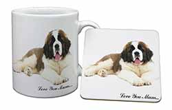 Saint Bernard 