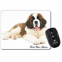 Saint Bernard 