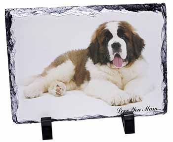 Saint Bernard 