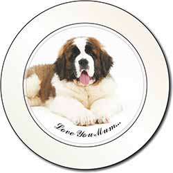 Saint Bernard 