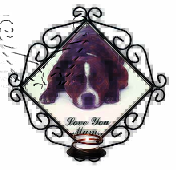 Staff Bull Terrier 