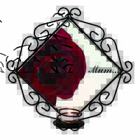 Red Rose 