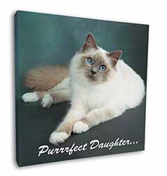 Birman Cat 