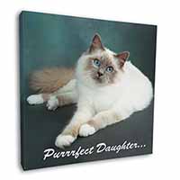 Birman Cat 