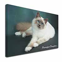 Birman Cat 