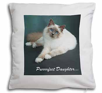 Birman Cat 