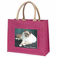 Birman Cat 