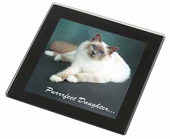 Birman Cat 