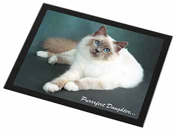 Birman Cat 