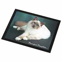 Birman Cat 