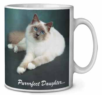 Birman Cat 