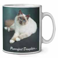 Birman Cat 