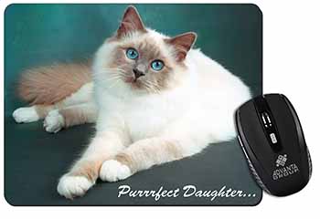 Birman Cat 