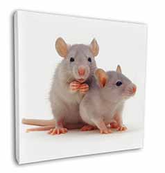 Silver Blue Rats Square Canvas 12"x12" Wall Art Picture Print