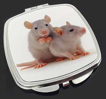 Silver Blue Rats Make-Up Compact Mirror