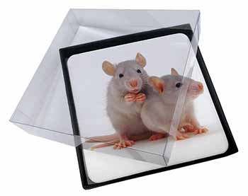 4x Silver Blue Rats Picture Table Coasters Set in Gift Box