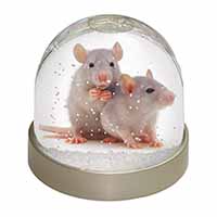 Silver Blue Rats Snow Globe Photo Waterball