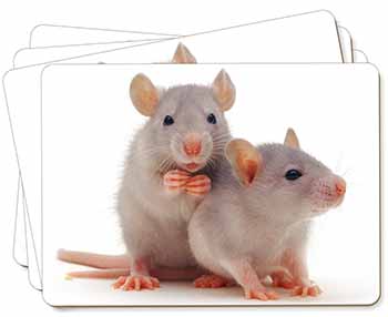 Silver Blue Rats Picture Placemats in Gift Box